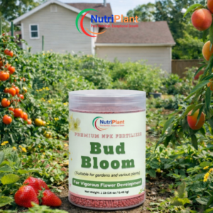 BUD BLOOM – VIGOROUS FLOWER DEVELOPMENT