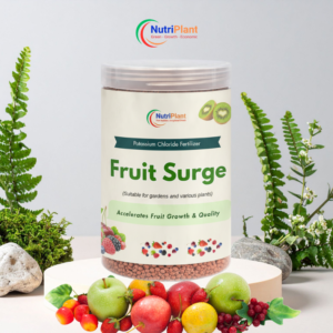 Fruit Surge – Supports Fruit Growth & Quality