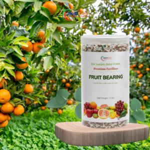 Fruit Bearing – Larger, Juicy Fruits