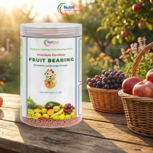 Fruit Bearing – Healthy Fruit Development